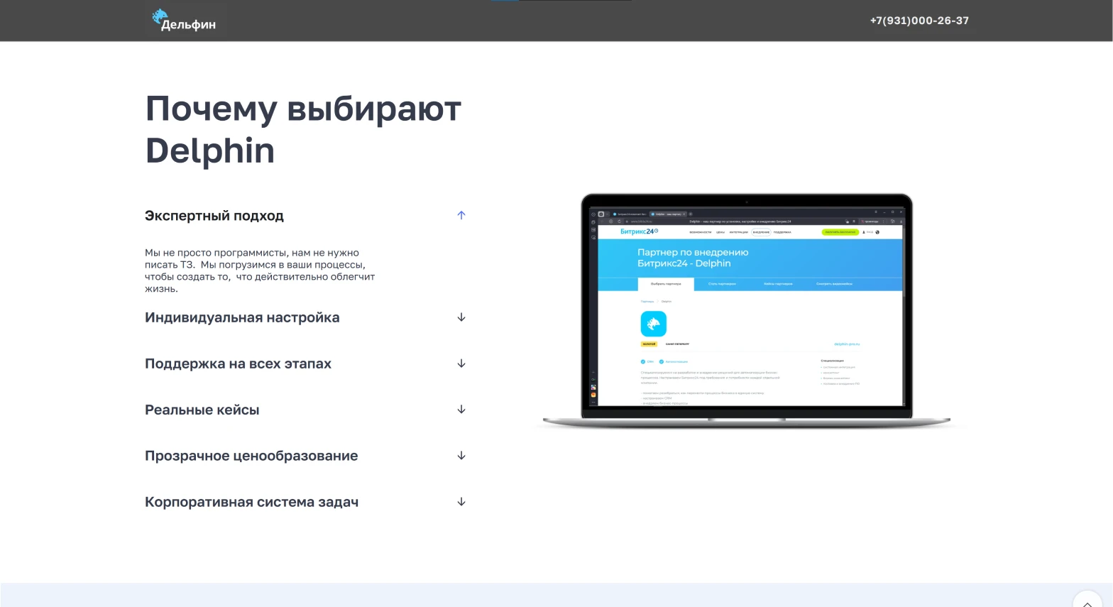 Блок «Почему выбирают Delphin»