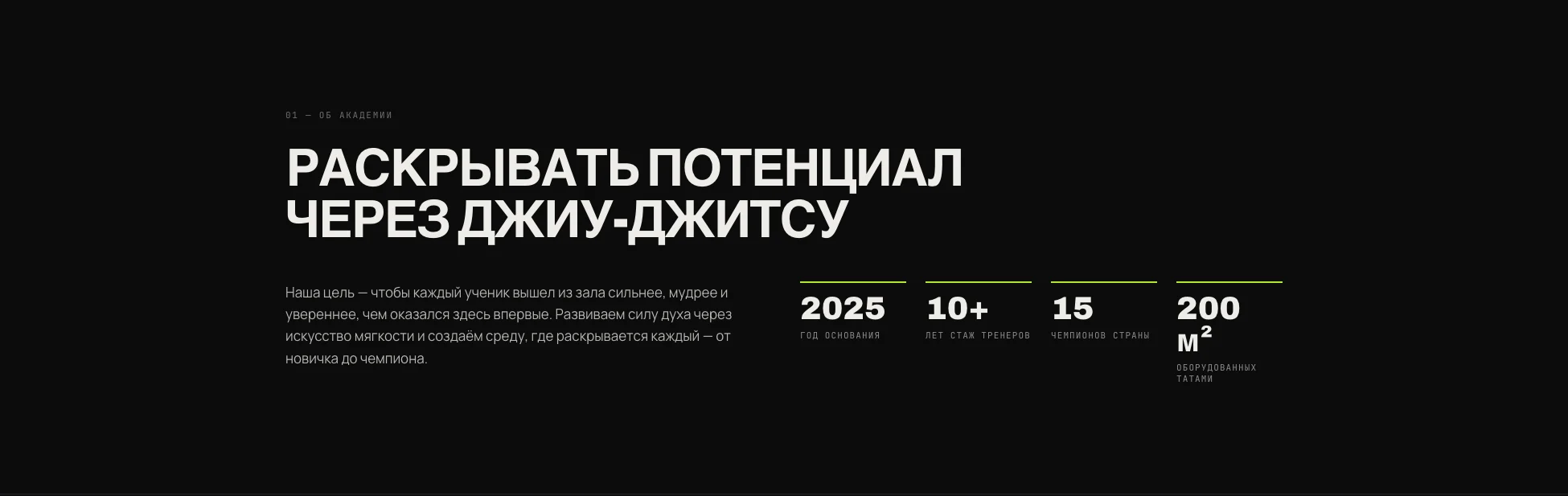 Блок об академии с цифрами: год основания, стаж тренеров, площадь татами