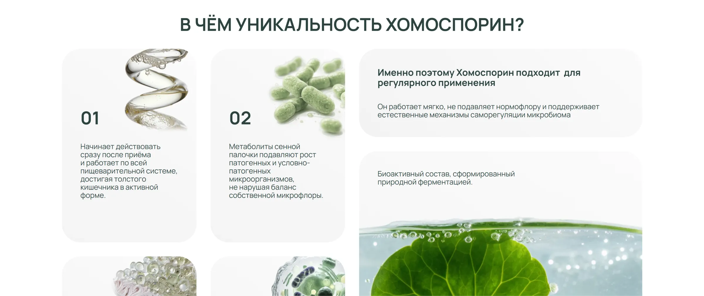 Блок «В чём уникальность Хомоспорин» с нумерованными карточками