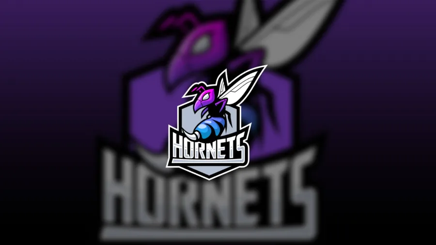 HORNETS: айдентика киберспортивного клуба