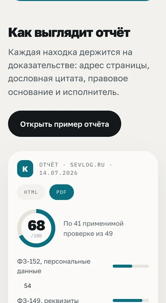 Пример отчёта на телефоне