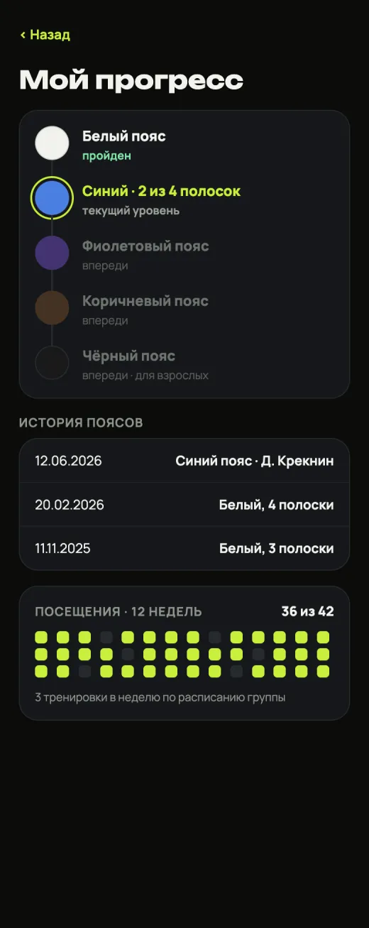 Прогресс спортсмена: пояса, полоски и посещения